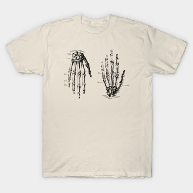 Double Hand Skeletal Diagram - Vintage Anatomy T-Shirt by Vintage Anatomy Prints